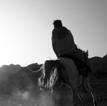 网页在线DDOS压力测试